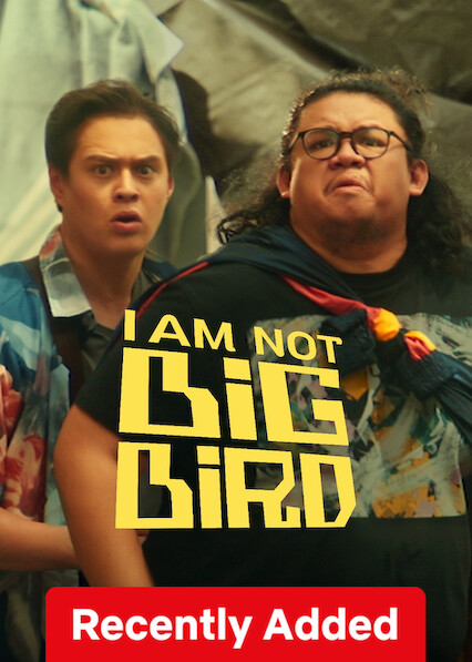 I Am Not Big Bird on Netflix