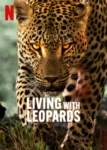Netflix'te Leoparlarla Yaşamak