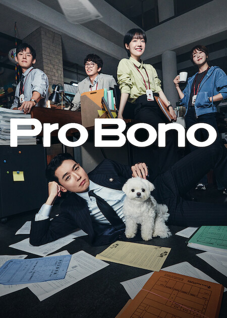 Pro Bono poster