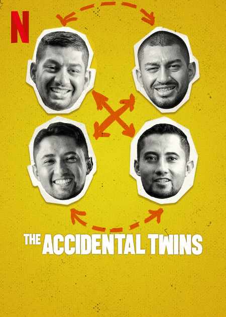 The Accidental Twins poster