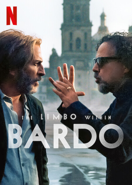 The Limbo within BARDO  poster