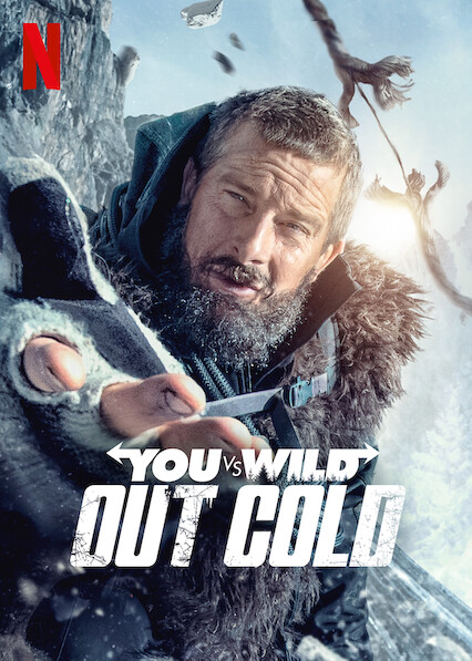 You vs. Wild: Out Cold on Netflix