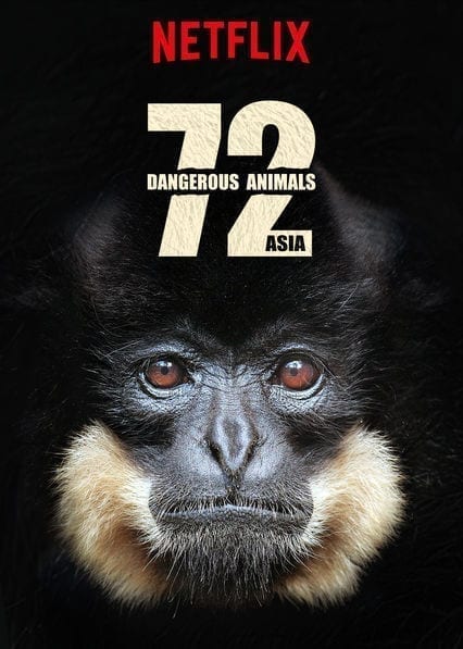 72 Dangerous Animals: Asia poster
