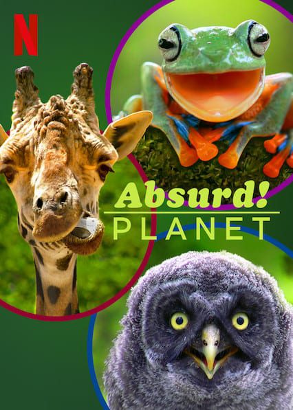 Absurd Planet  poster