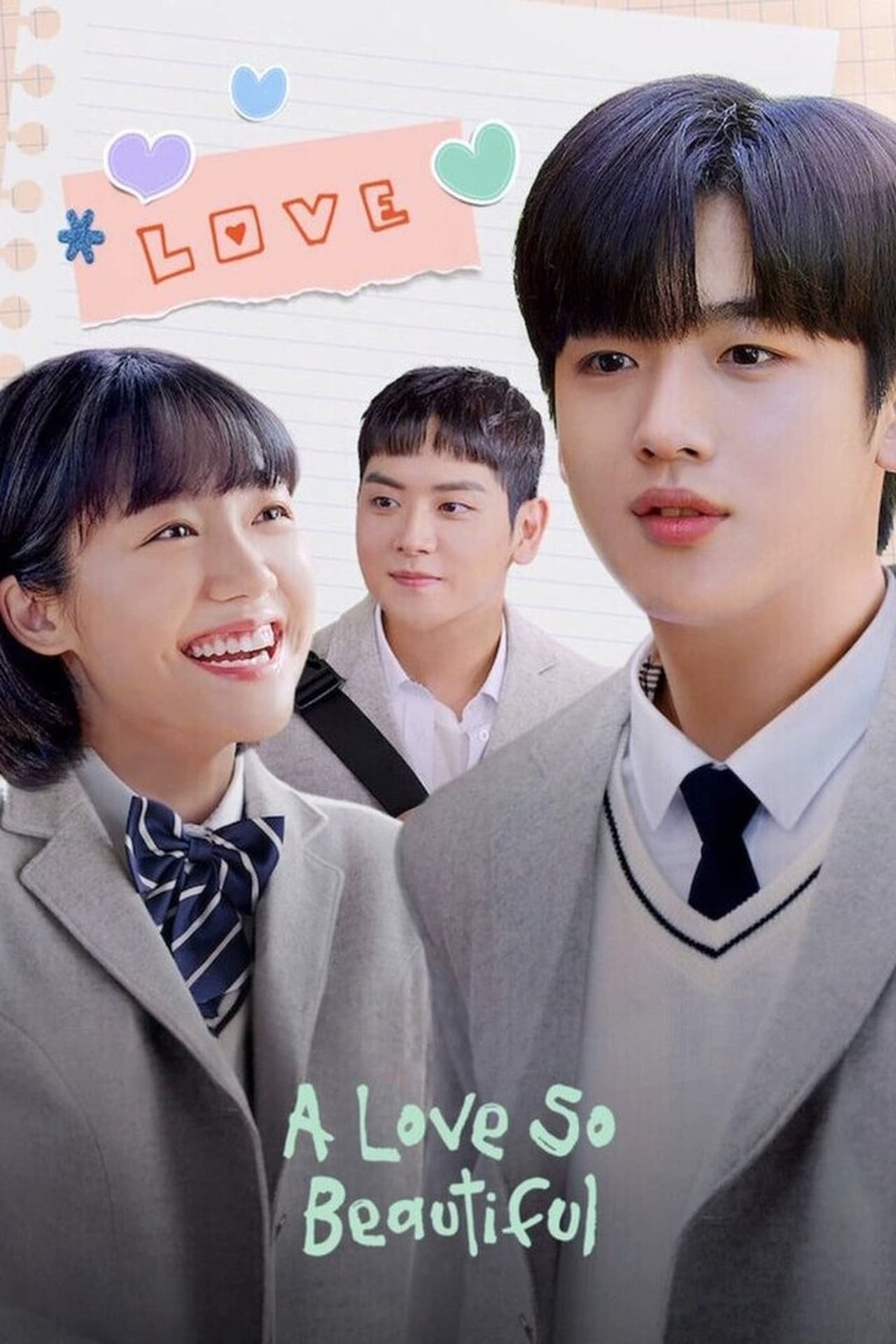 A Love So Beautiful  poster