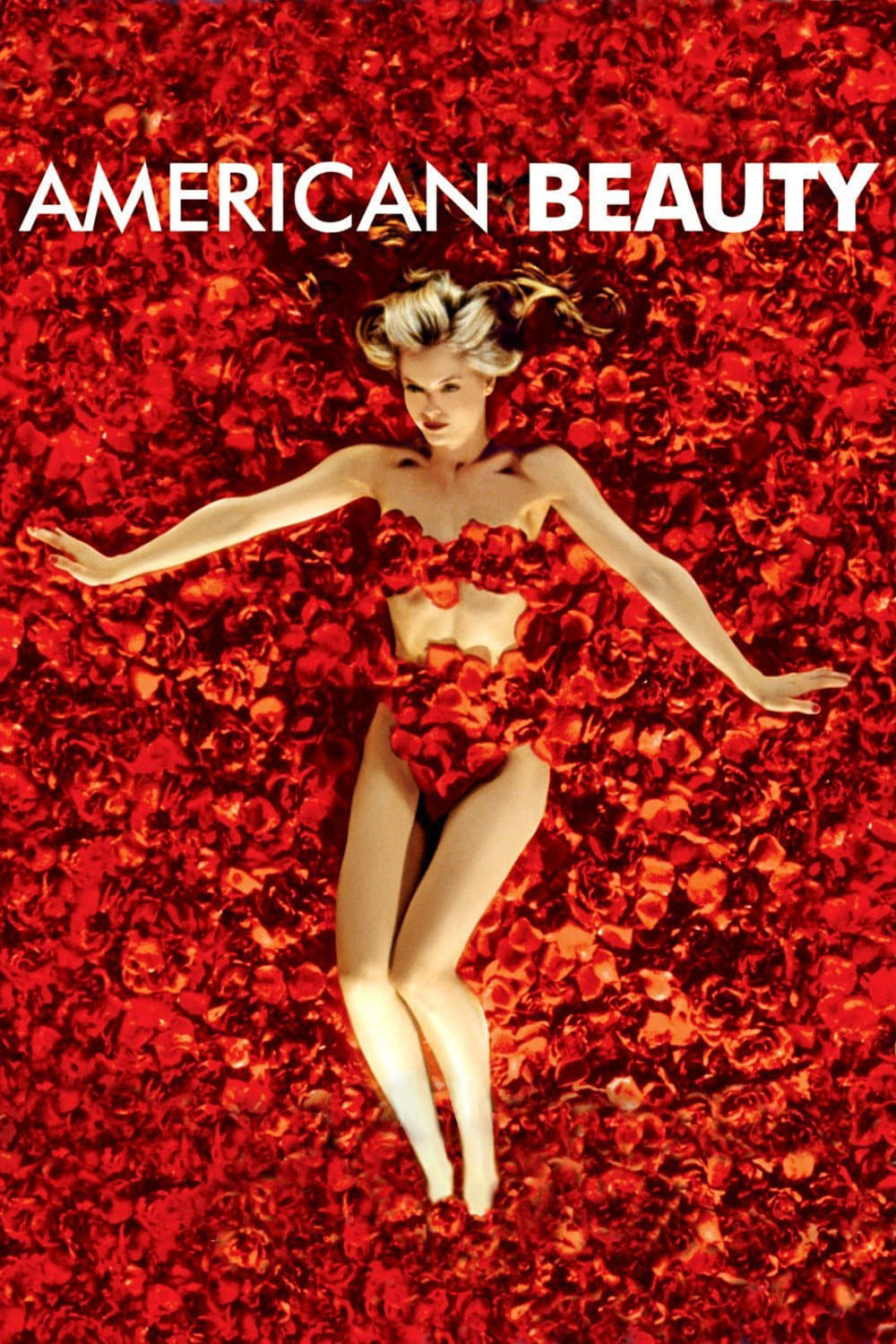American Beauty  Poster
