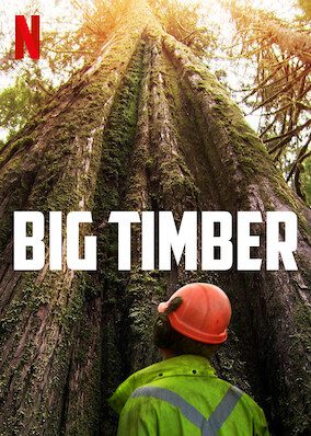 Big Timber poster