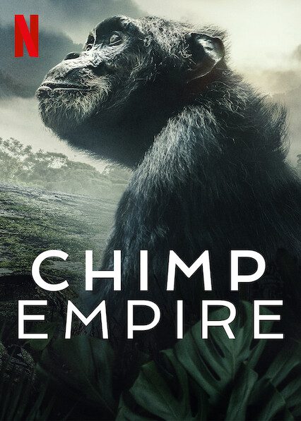 Chimp Empire  poster