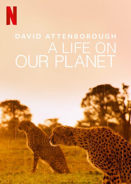 David Attenborough: A Life on Our Planet  poster