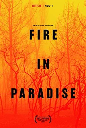 Fire in Paradise poster