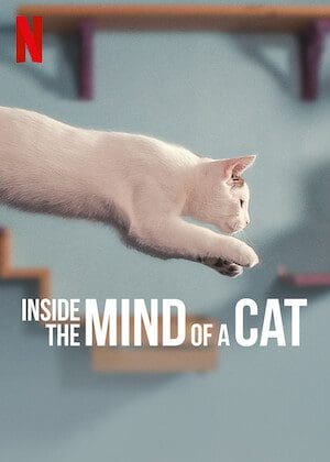 Inside the Mind of a Cat poster