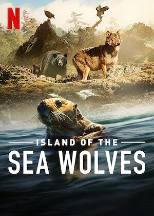 Island of the Sea Wolves  poster