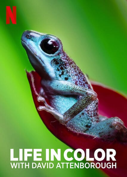 Life in Colour with David Attenborough poster