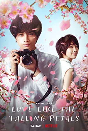 Love Like the Falling Petals poster