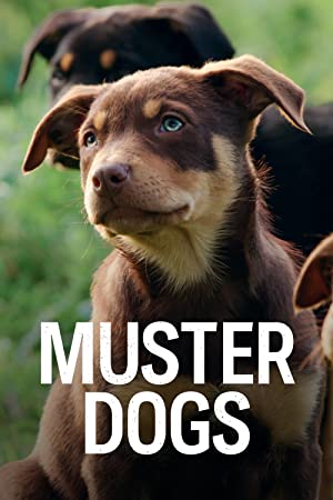 Muster Dogs  Poster