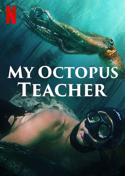 My Octopus Teacher 