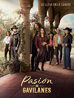 Pasion de Gavilanes poster