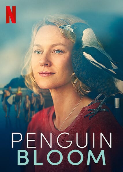 Penguin Bloom poster