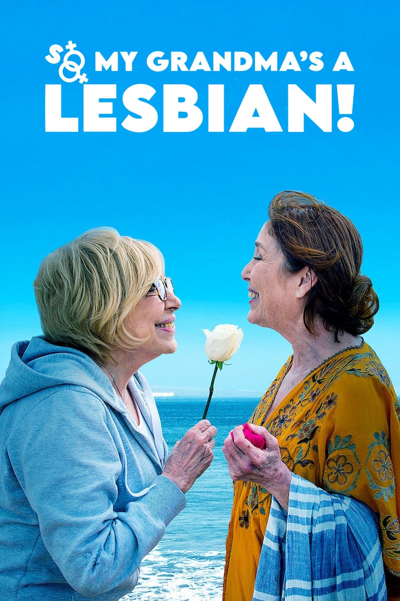 So My Grandma's a Lesbian!  poster