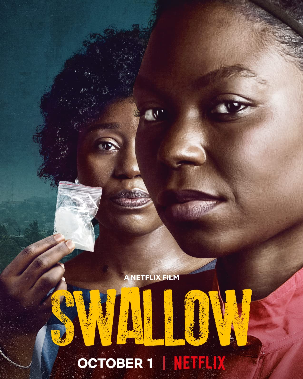 Swallow  poster
