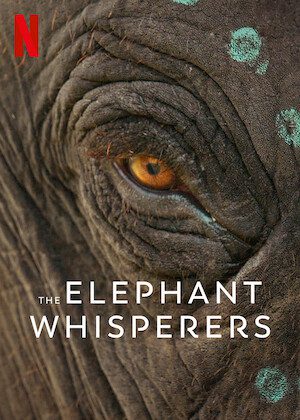 The Elephant Whisperers  poster