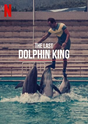 The Last Dolphin King  poster