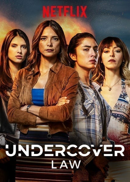 Undercover Law  poster
