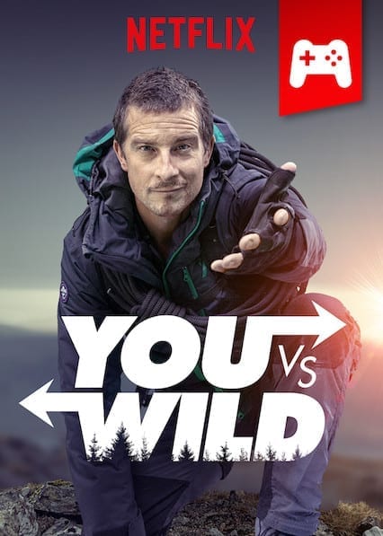 You vs. Wild poster